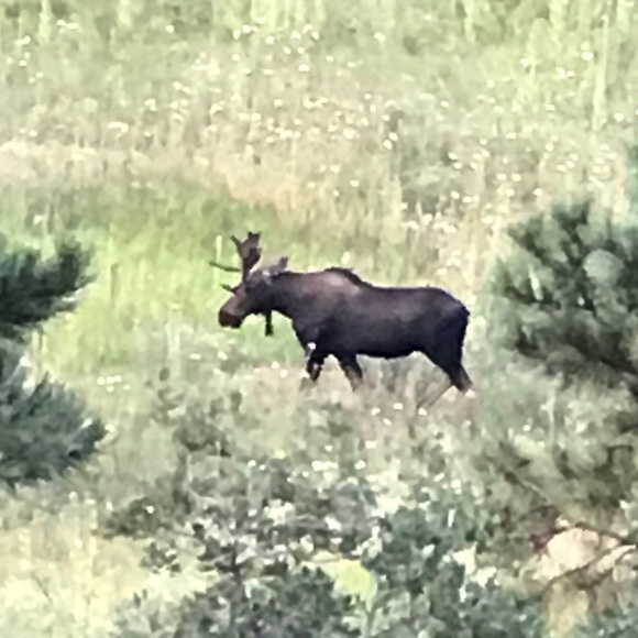 Oh, Hello π» - Picture 8 of 11